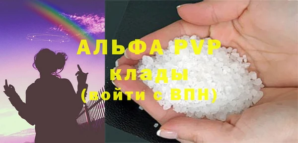 прущие грибы Волосово