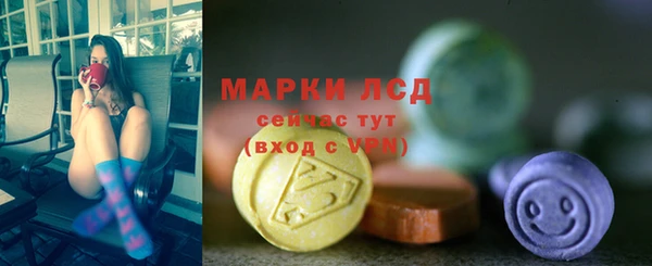 прущие грибы Волосово