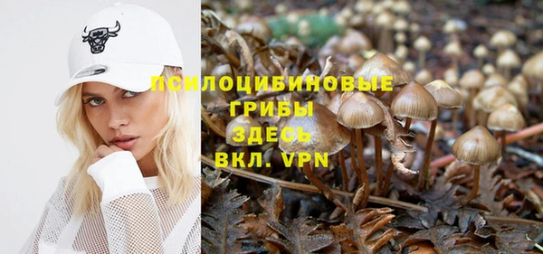 прущие грибы Волосово