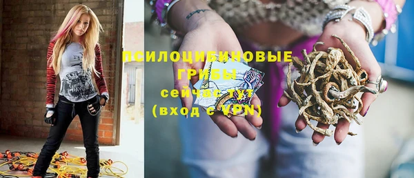 прущие грибы Волосово