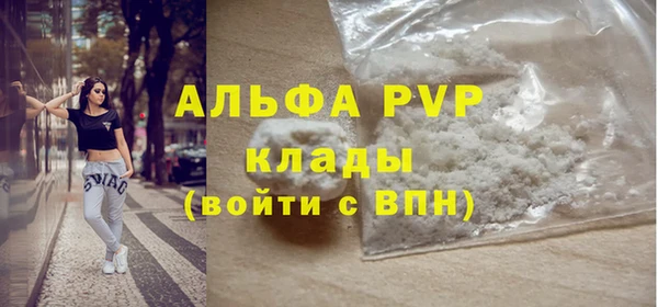 прущие грибы Волосово