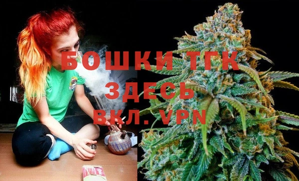 прущие грибы Волосово